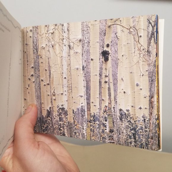 Colorado: A Postcard Book Paperback - Picture 6 of 15